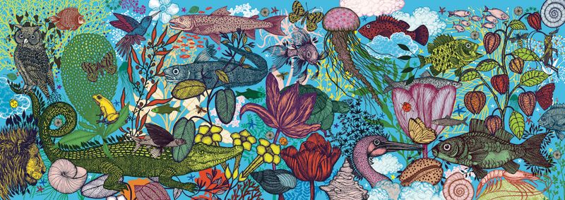 Djeco Gallery Puzzle - Land and Sea