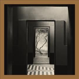 Yair Elazar Glotman - Negative Chambers (Vinyl)