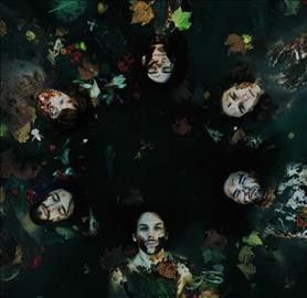 The Mothers Earth Experiment (Vinyl / 12" Album)