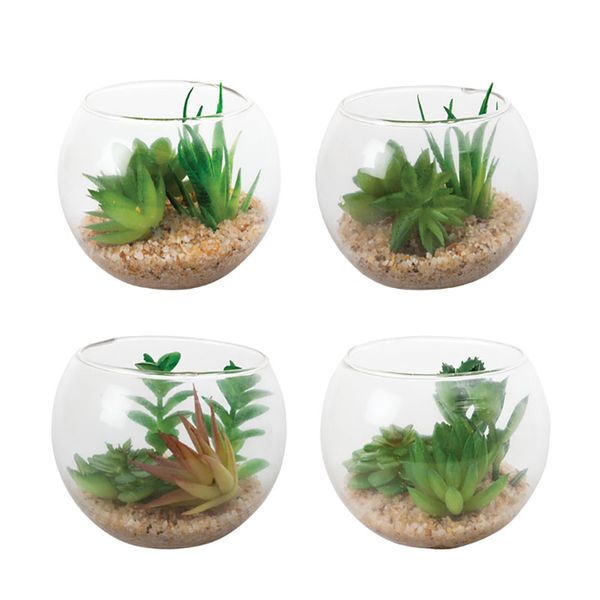 Bulk Pack X 4 Succulent In Bauble Plastic 10cm