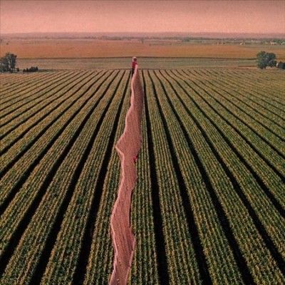 Everybody Split (Vinyl / 12" Album)