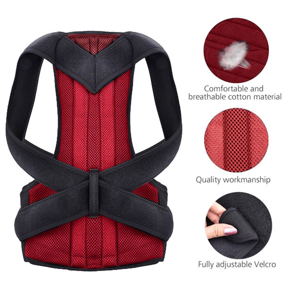 bad back support