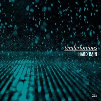 Hard Rain (Vinyl / 12" Album)