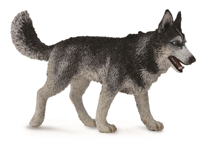 Collecta Cats&amp;Dogs-Siberian Husky-L