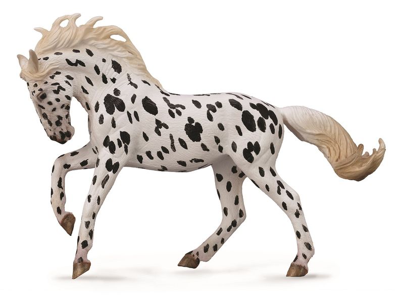 Collecta Horses- Knabstrupper Mare - Black Leopard-Xl