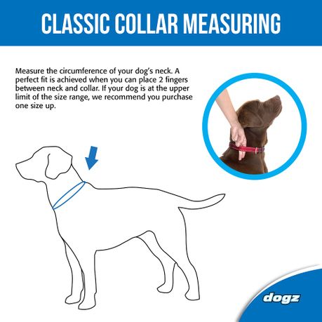 extra small dog collar size