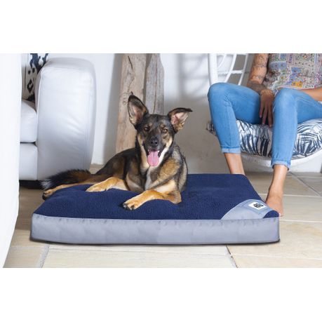 Large flat clearance dog bed