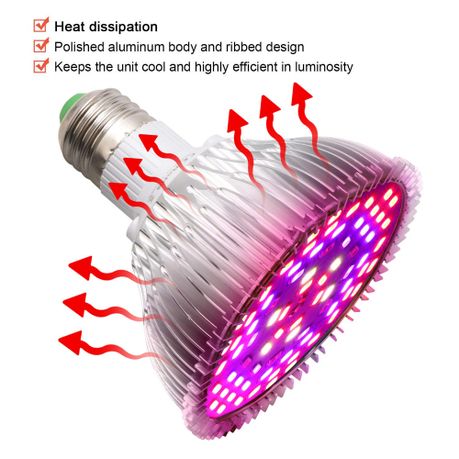 full spectrum light bulbs for plants