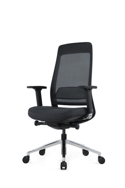 Ergo Exec Ergonomic chair without headrest