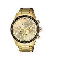 citizen gold chronograph watch