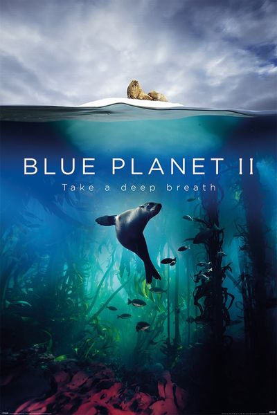 Blue Planet 2 - Deep Breath Poster