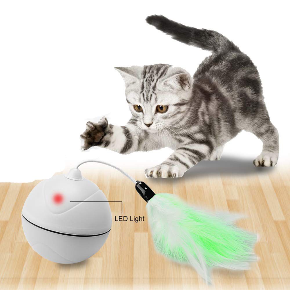 cat ball toys plastic