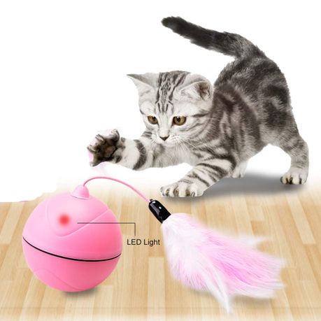 cat toys takealot