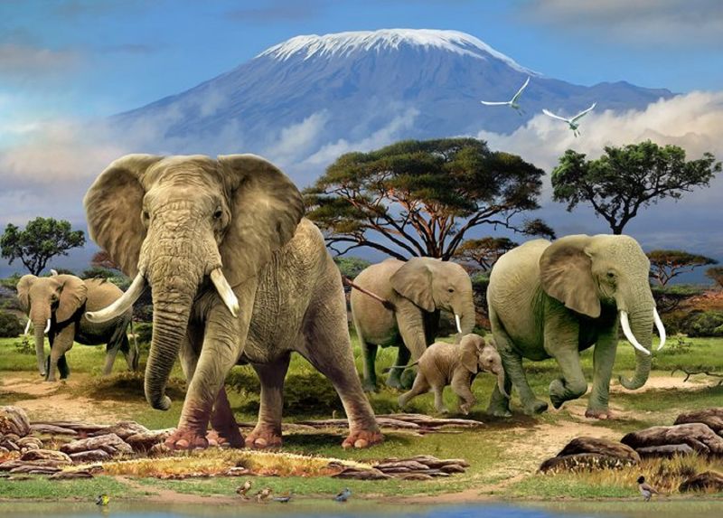 RGS Group Mount Kilimanjaro 1500 Piece Jigsaw Puzzle