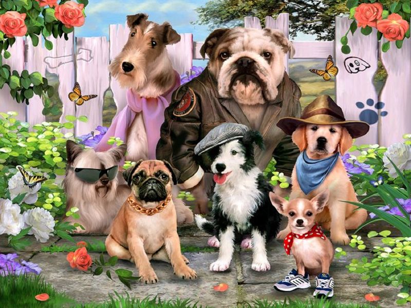 Cool Dudes 1000piece