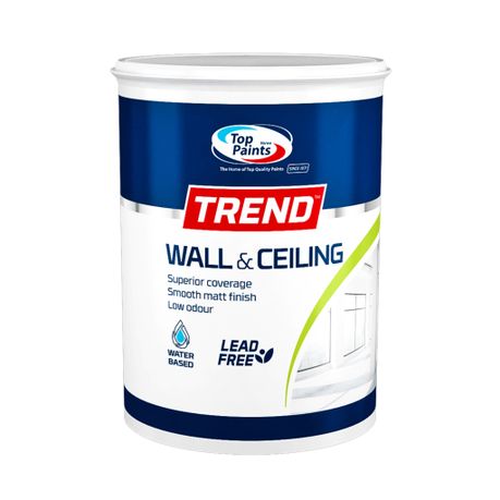 Top Paints Trend Wall And Ceiling Paint, White Ceiling Paint 5l