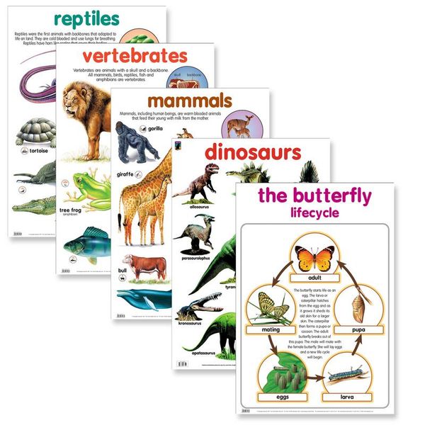 Educat wall chart 5 pack animals advanced study