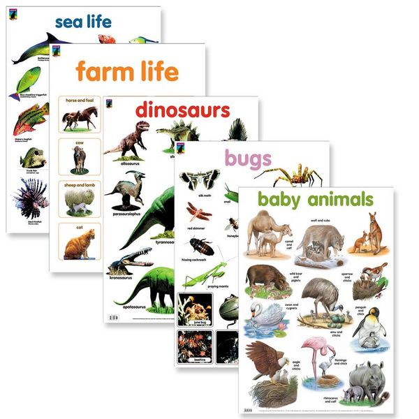 Educat wall chart 5 pack "Early Learning Years