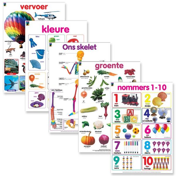 Educat wall chart 5 pack "Early Childhood Afrikaans" Educational Learning