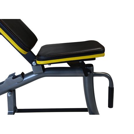 Everlast Core Dumbbell Bench With 2 Dumbbell Handles 20kg