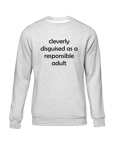 JuiceBubble Cleverly Disguised Sweater - Grey