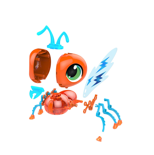 Build A Bot Bug - Rhino Beetle