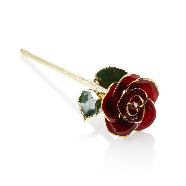 24K Gold Plated Premium Rose (Various Colours)