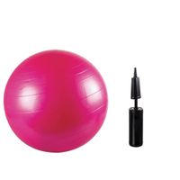 65cm Anti-Burst Gym and Yoga Ball, Shop Today. Get it Tomorrow!