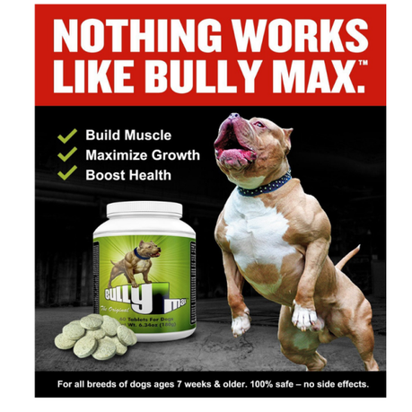 is bully max good for dogs