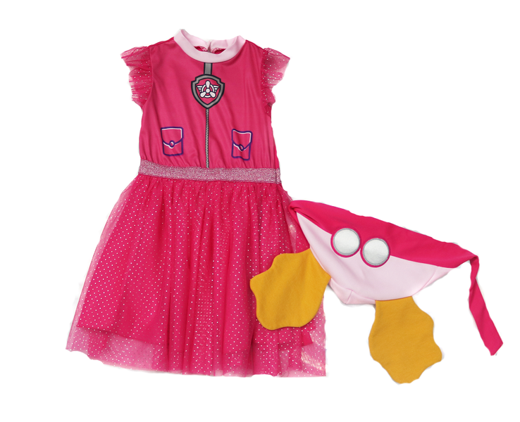 Paw Patrol Skye Dress Up Age