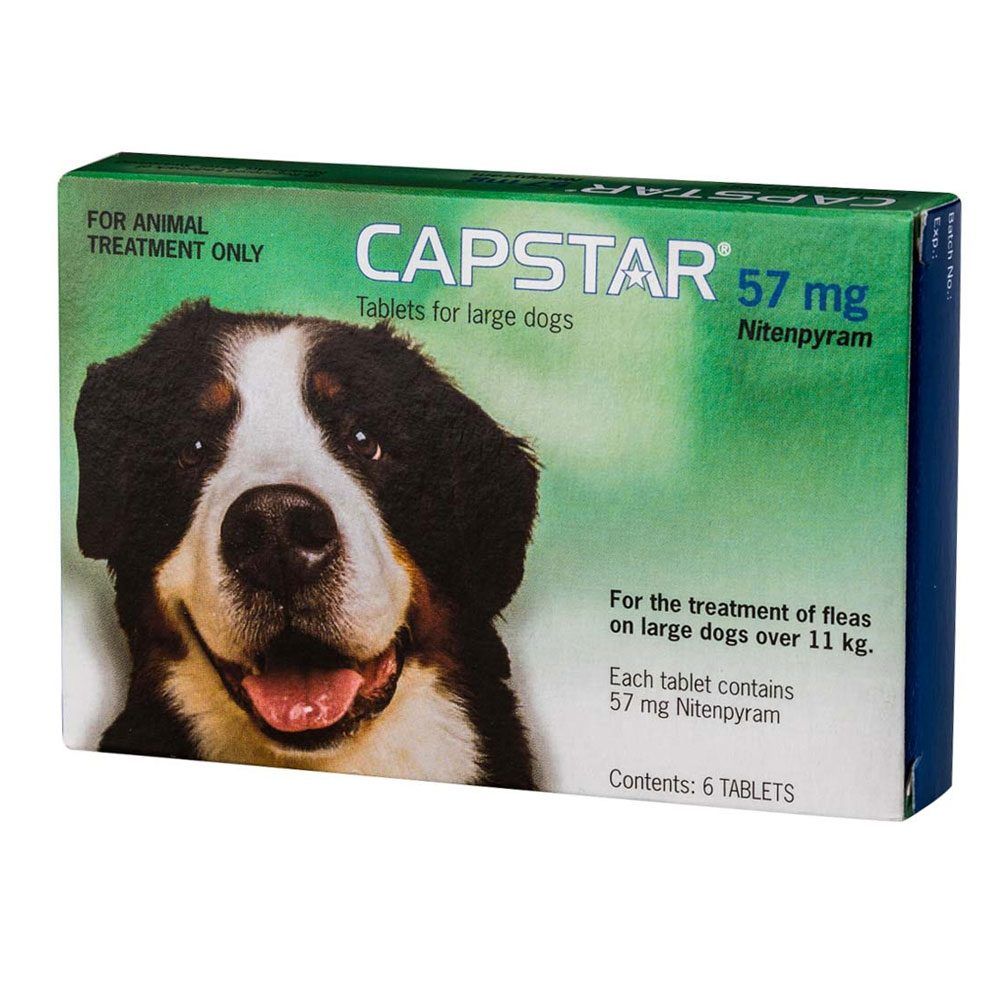 capstar 40kg
