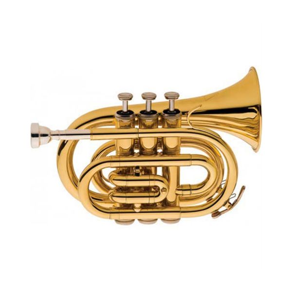 Sonata Pocket Trumpet With Lightweight Case - Gold Lacquered