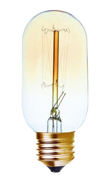 40 Watt T45 E27 Carbon Fillament Bulb