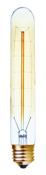 60 Watt T30 E27 Carbon Fillament Bulb