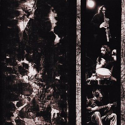 Derek Bailey - Dynamics Of The Impromptu (CD)