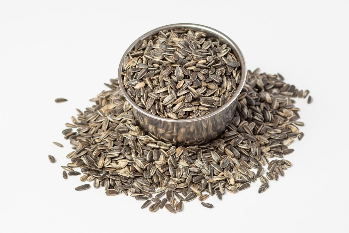 white striped sunflower seeds