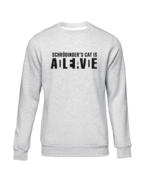 JuiceBubble Schrodinger's Cat Sweater -Grey