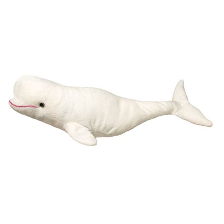 beluga whale teddy