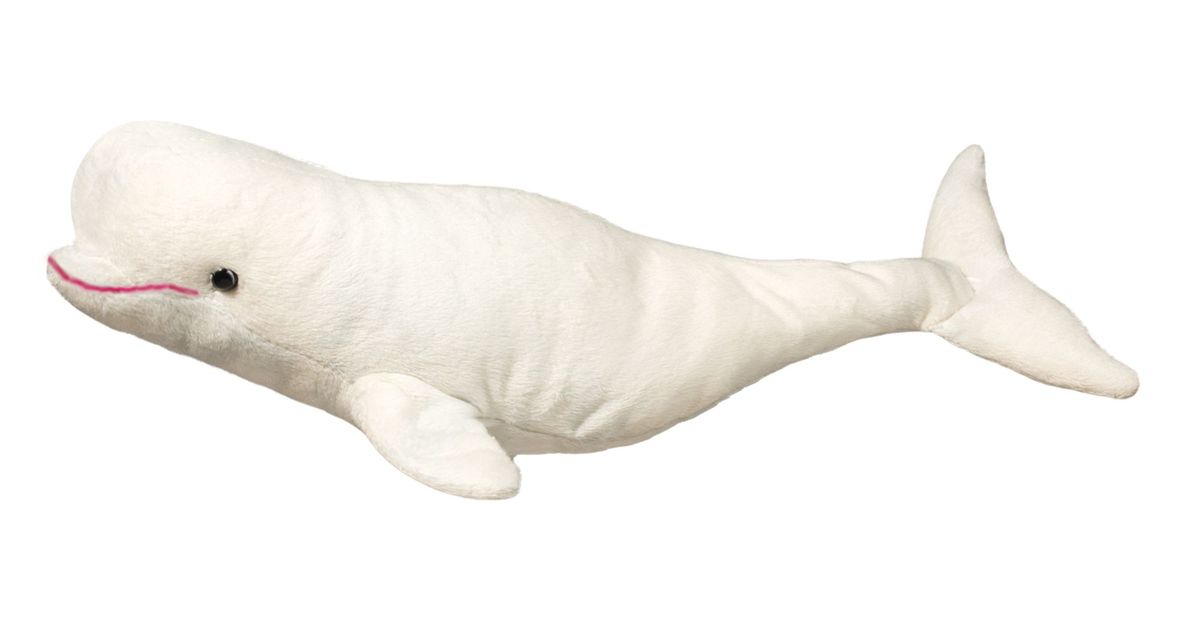 DOUGLAS Beluga Whale Plush Toy | Buy Online in South Africa | takealot.com