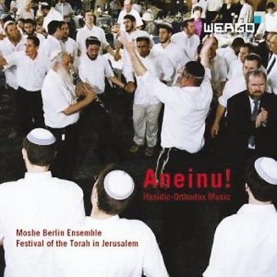 Aneinu! Hasidic - Orthodox Music (CD / Album)
