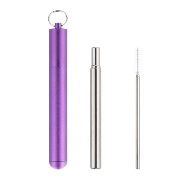 Collapsible Stainless Steel Straw Purple image