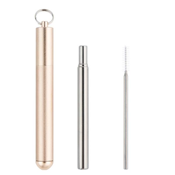 Favourable Impression-Collapsible Stainless Steel Straw Silver