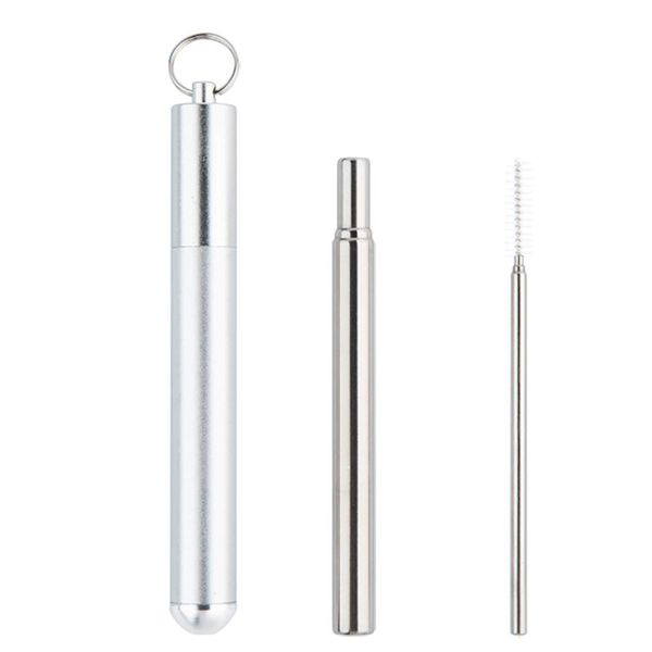 Collapsible Stainless Steel Straw Silver image