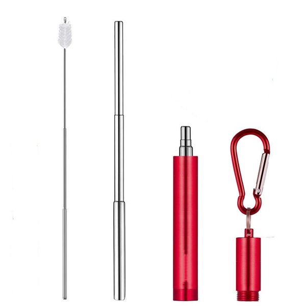 Favourable Impression-Collapsible Stainless Steel Straw Silver