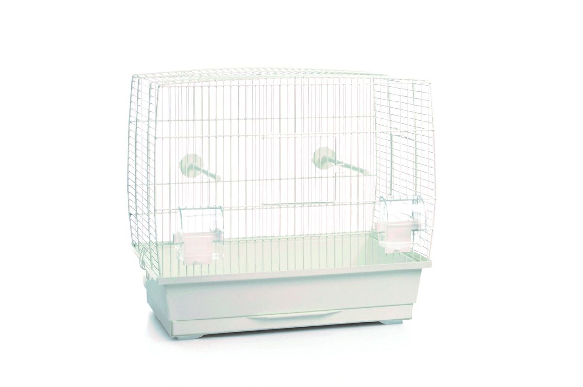 diy rabbit outdoor playpen