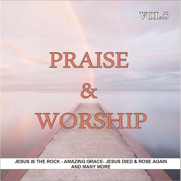 Praise &amp; Worship Vol.5 (CD)