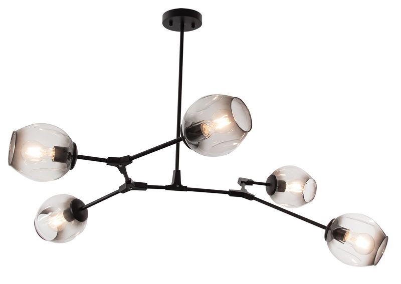Black Ceiling Fitting with Smoke Glass