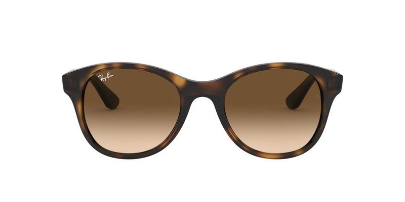 Ray-Ban RB4203 710/13 51 Sunglasses