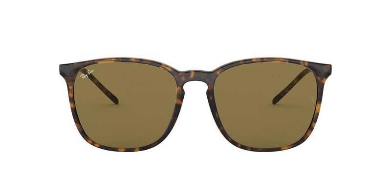 Ray-Ban RB4387 710/73 56 Sunglasses