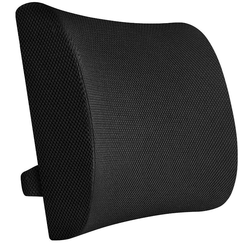 seat cushion and back support